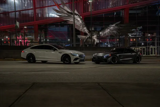 와일드 씨카지노 카지노 안드로이드/iOS 앱